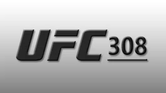 ufc 308