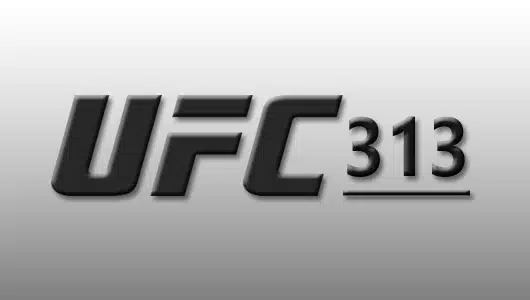 ufc 313
