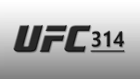 ufc 314