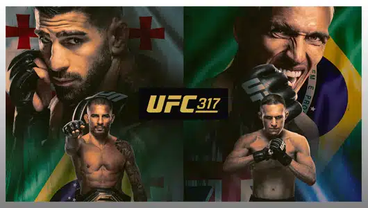 UFC 317