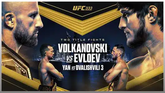 ufc 333